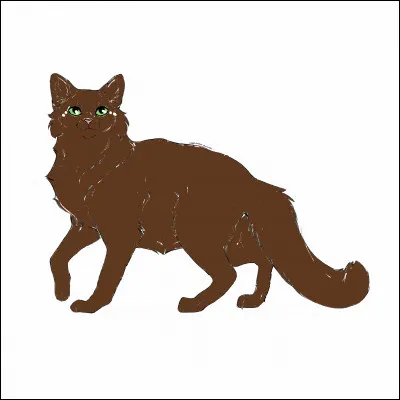 Deux lunes plus tard, tu mets bas de trois magnifiques chatons, une femelle et deux mâles.
Comment les appelles-tu ?