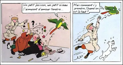 La chanteuses des causes perdues et des amours contrariées...