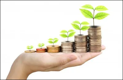 Combien as-tu à peu près d'argent en poche ?