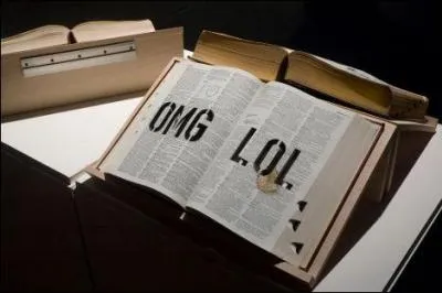 Dans le jargon de Twitter, l'ide de plantade se dit :