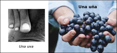 Est-ce vrai ou faux ?