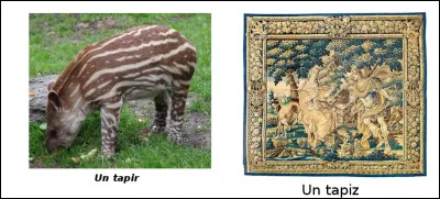 Est-ce vrai ou faux ?