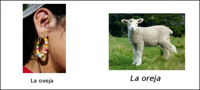 Est-ce vrai ou faux ?