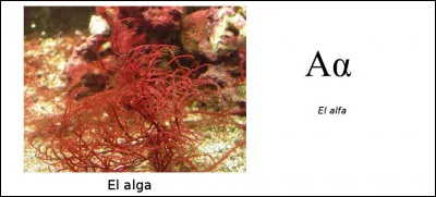 Est-ce vrai ou faux ?