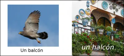 Est-ce vrai ou faux ?