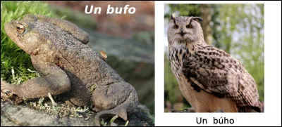 Est-ce vrai ou faux ?