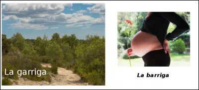 Est-ce vrai ou faux ?