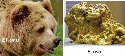 Est-ce vrai ou faux ?