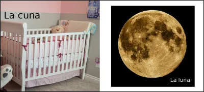 Est-ce vrai ou faux ?