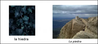 Est-ce vrai ou faux ?