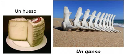 Est-ce vrai ou faux ?