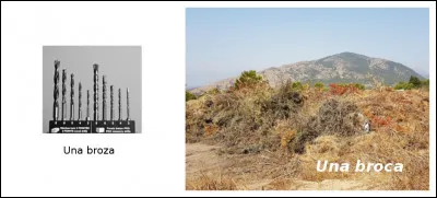 Est-ce vrai ou faux ?