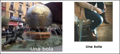 Est-ce vrai ou faux ?