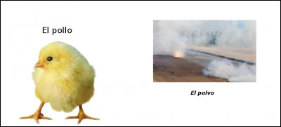 Est-ce vrai ou faux ?