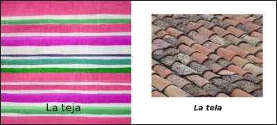 Est-ce vrai ou faux ?