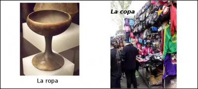 Est-ce vrai ou faux ?