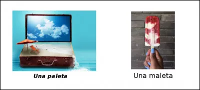 Est-ce vrai ou faux ?