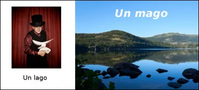 Est-ce vrai ou faux ?