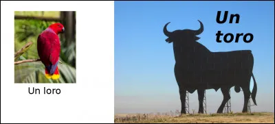 Est-ce vrai ou faux ?