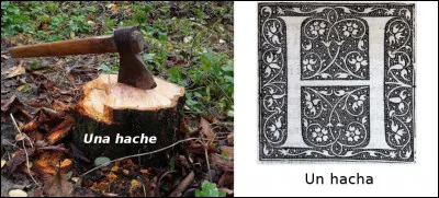 Est-ce vrai ou faux ?