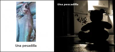 Est-ce vrai ou faux ?