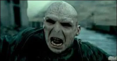 Quel jour est mort Voldemort ?