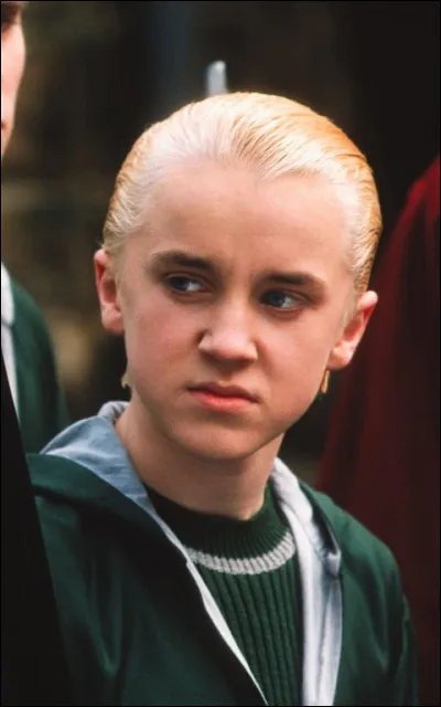 Drago va se faire transformer en furet par le professeur Maugrey.