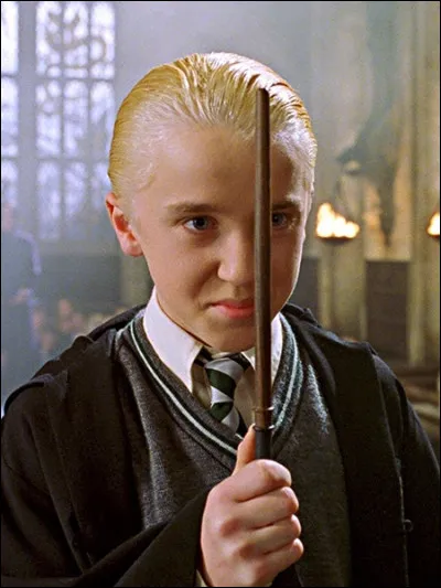 Il a rencontré pour la première fois Harry Potter le 30 juillet 1991 chez Madame Guipure au chemin de Traverse.