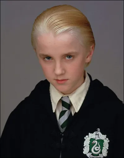 La baguette de Drago est faite de bois de vigne.