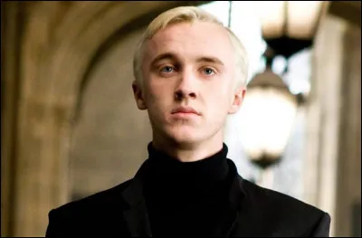 Lucius a insisté pour qu'il aille à Poudlard car Durmstrang était trop loin.