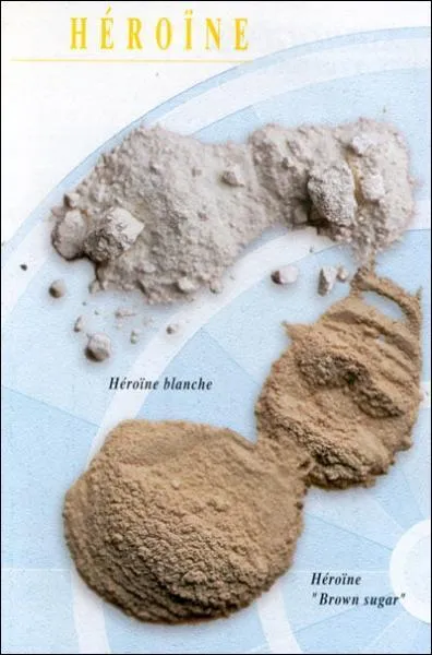 1 Kg d'opium peut rapporter jusqu' 100   un paysan afghan. D'abord transform en morphine, il donnera enfin 100 g d'hrone pure. Au prix de la revente en France, 1 Kg d'hrone  une valeur de :