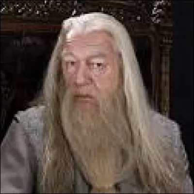 Et Albus Dumbledore ?