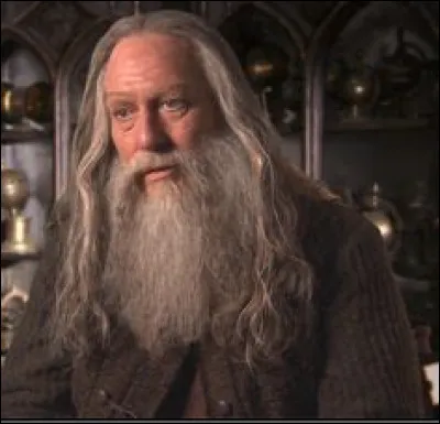 Abelforth Dumbledore est joué par...