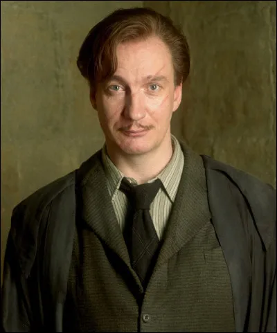 Qui joue Remus Lupin ?