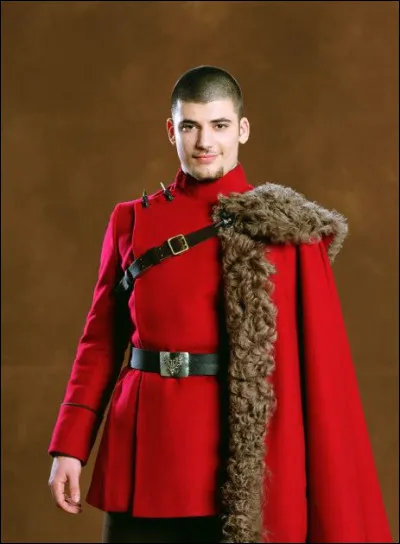 Qui joue Viktor Krum ?