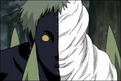 Qui est Zetsu noir ?