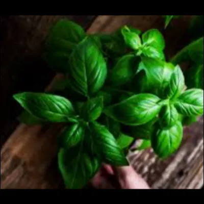 À quoi te fait penser cette image ?