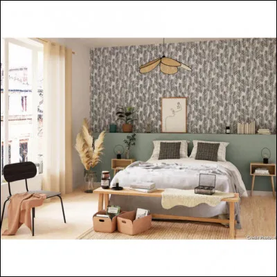 À quoi/qui te fait penser cette image ?