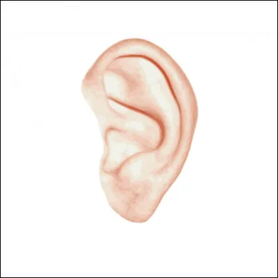 À qui/quoi te fait penser cette image ?