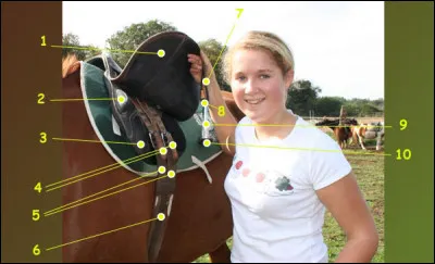 Comment s'appelle le num&eacute;ro 5 ?