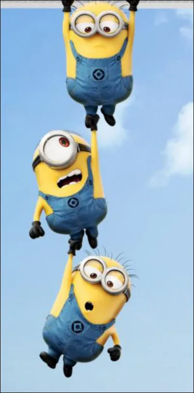 Cette image nous montre des ... .