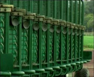 En quoi sont-ils dguiss pour faire une course  l'hippodrome ?