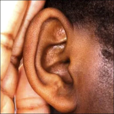 Quel terme d&eacute;signe la partie centrale du labyrinthe de l�oreille interne ?