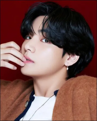 Quelle est la marque de vêtements préférée de V (Kim Taehyung) ?