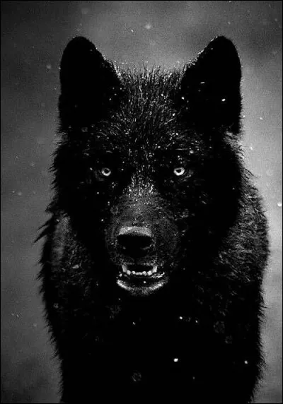 Le plus grand et infâme des loups de la mythologie nordique. Qui est-il ?