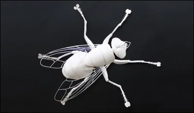 En Égypte ancienne la mouche est symbole de ;