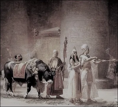 Choisi par les prêtres de lÉgypte ancienne sur des critères bien spécifiques, ce taureau est la réplique vivante sur terre du dieu Rê. Comment était-il nommé ?