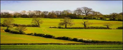 Il s'agit d'une paroisse anglaise.
Indice : si on modifie l'orthographe pour avoir un homophone, on obtient le suffixe indiquant "qui tue" en français.