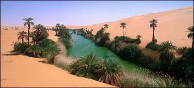 Elle vit naître Kadhafi.
Indice : le nom commun est en français synonyme de côte sablonneuse.