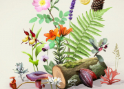Quiz Botanique - Les fleurs qui se ressemblent